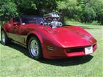 1981 Chevrolet Corvette Picture 4