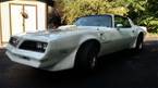 1981 Pontiac Firebird Picture 4