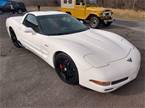 2001 Chevrolet Corvette Picture 4