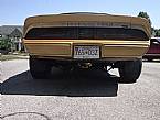 1979 Pontiac Trans Am Picture 4