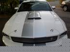 2007 Ford Shelby Picture 4