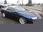 2002 Chevrolet Camaro Picture 4