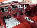 1979 Pontiac Trans Am Picture 4