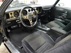 1979 Pontiac Trans Am Picture 4