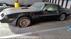 1981 Pontiac Trans Am Picture 4