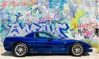2004 Chevrolet Corvette Picture 4