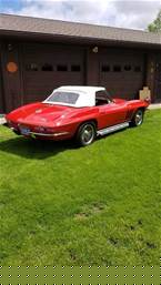 1966 Chevrolet Corvette Picture 4