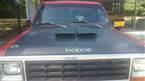 1984 Dodge D100 Picture 4