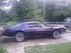 1979 Pontiac Trans Am Picture 4