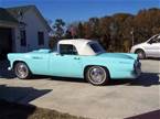 1955 Ford Thunderbird Picture 4