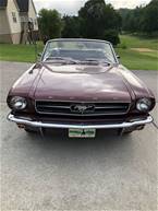 1965 Ford Mustang Picture 4