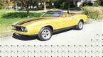 1973 Ford Mustang Picture 4