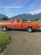 1978 Ford F250 Picture 4