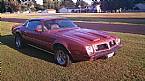 1975 Pontiac Firebird Picture 4