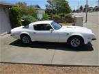 1975 Pontiac Trans Am Picture 4