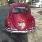 1964 Volkswagen Beetle Picture 4