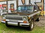 1984 Jeep Grand Wagoneer Picture 4