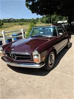 1968 Mercedes 250SL Picture 4