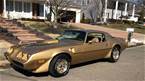 1981 Pontiac Trans Am Picture 4