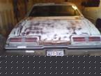 1973 Pontiac Grand Am Picture 4