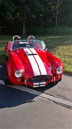 1965 Shelby Cobra Picture 4