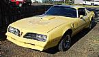 1977 Pontiac Firebird Picture 4