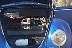 1966 Volkswagen Beetle Picture 4