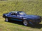 1981 Chevrolet Camaro Picture 4