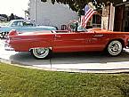 1956 Ford Thunderbird Picture 5
