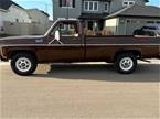 1979 Chevrolet C20 Picture 5
