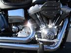 2003 Other H-D FXD Picture 5