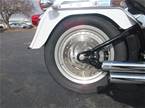 2005 Other H-D FLSTF Picture 5