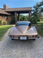 1964 Chevrolet Corvette Picture 5