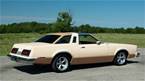 1979 Ford Thunderbird Picture 5