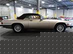 1991 Jaguar XJS Picture 5