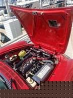 1979 Alfa Romeo Spider Picture 5