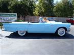 1957 Ford Thunderbird Picture 5