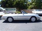 1991 Alfa Romeo Spider Picture 5