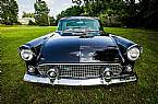 1955 Ford Thunderbird Picture 5