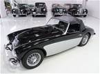 1957 Austin Healey 100-6 Picture 5