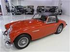 1959 Austin Healey 100-Six Picture 5