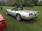 1980 Chevrolet Corvette Picture 5