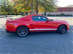 2011 Ford Shelby Picture 5