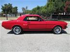 1964.5 Ford Mustang Picture 5