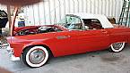 1955 Ford Thunderbird Picture 5