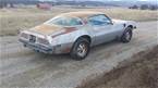 1975 Pontiac Trans Am Picture 5