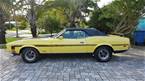 1972 Ford Mustang Picture 5