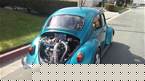 1965 Volkswagen Beetle Picture 5