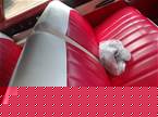 1953 Ford Crestline Picture 5