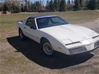 1983 Pontiac Trans Am Picture 5